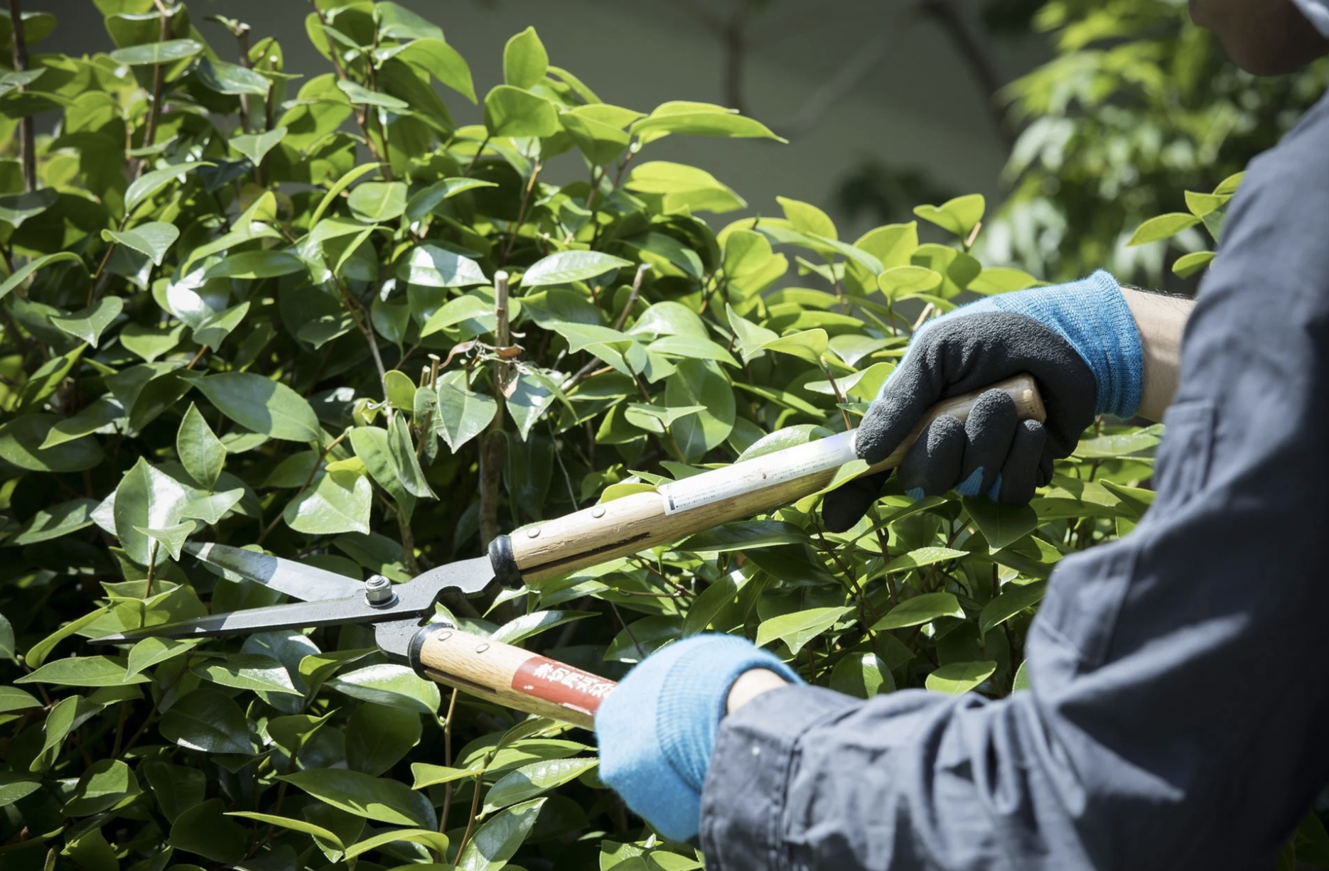 季鋏造園土木の正社員 造園工の求人情報イメージ2