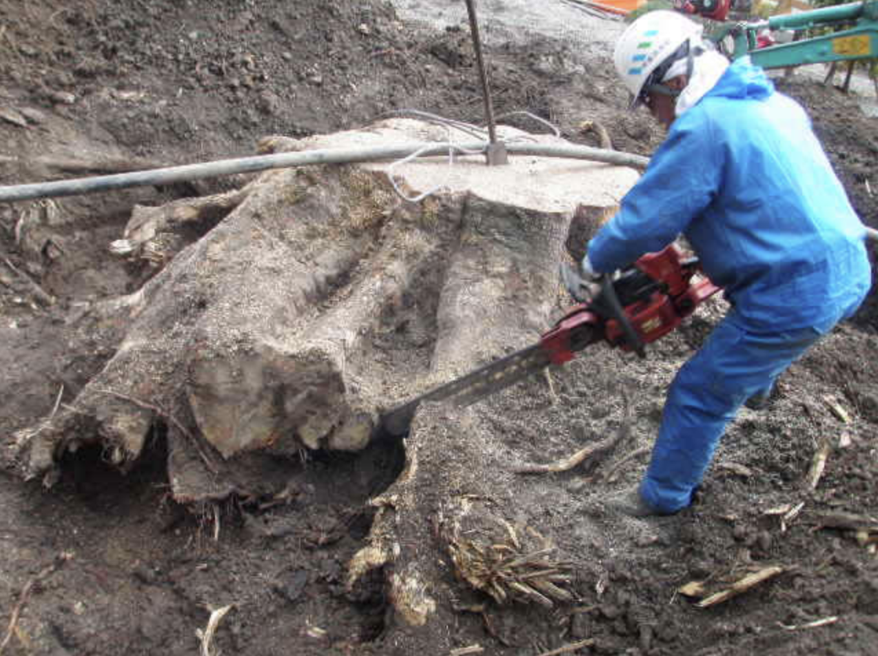 有限会社森田木材のアルバイト 造園工の求人情報イメージ1