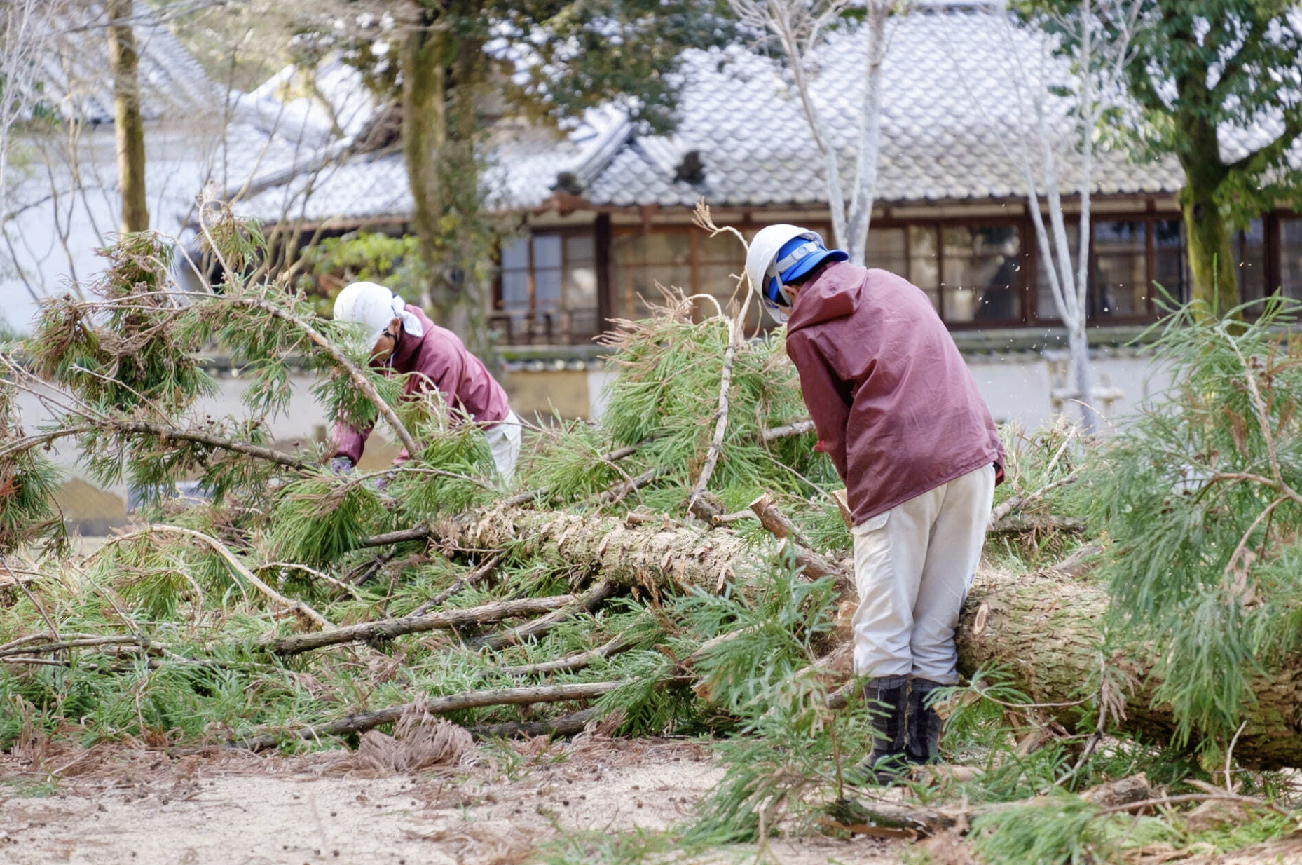 季鋏造園土木の正社員 造園工の求人情報イメージ3