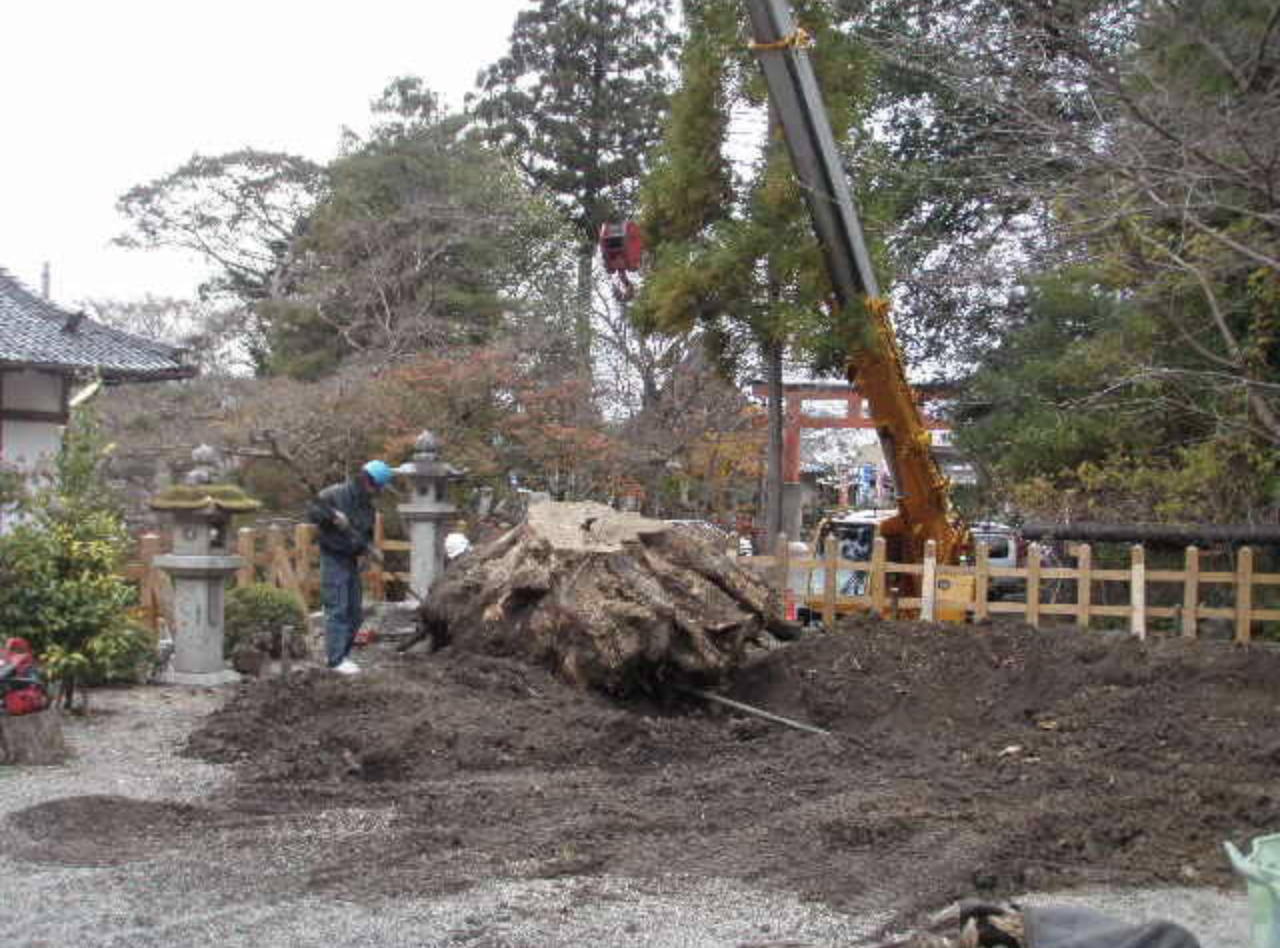 有限会社森田木材のアルバイト 造園工の求人情報イメージ2