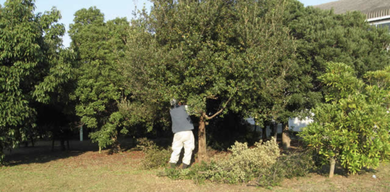 有限会社森田木材の正社員 造園工の求人情報イメージ1